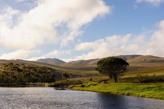 pond , grass , trees and Klein Mountains, Stanford, South Africa as the morning fog burns off