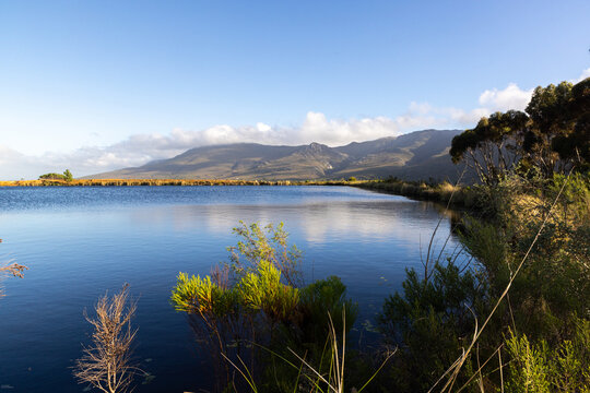 pond , grass , trees and Klein Mountains, Stanford, South Africa as the morning fog burns off