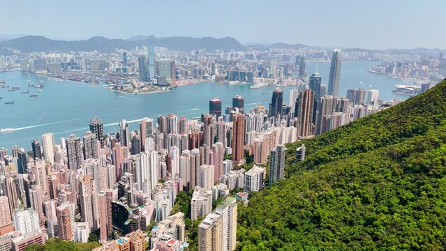 Flight above of the green forest peak slope and view of bay straight the high-rise skyscrapers of Hong Kong city.