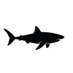 Obraz premium shark vector illustration
