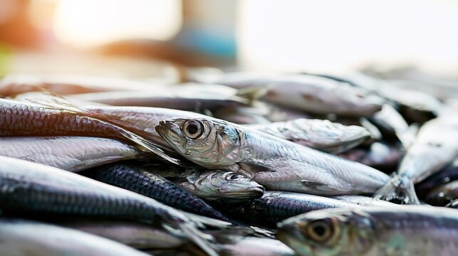 Freshly caught silver fish pile for sale, displaying vibrant scales for healthy eating and seafood market concepts