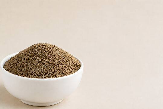 Ajwain seeds in a white bowl on a neutral background, carom seeds stock photo