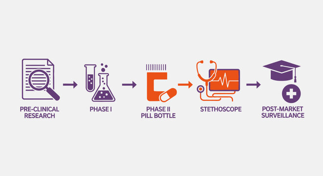 Infographic diagram showing the stages of pharmaceutical drug development and clinical trial process.