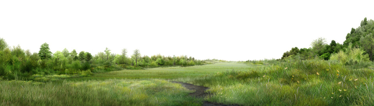 grass, High-resolution natural scenery ideal for environmental, landscaping, background, and design projects.