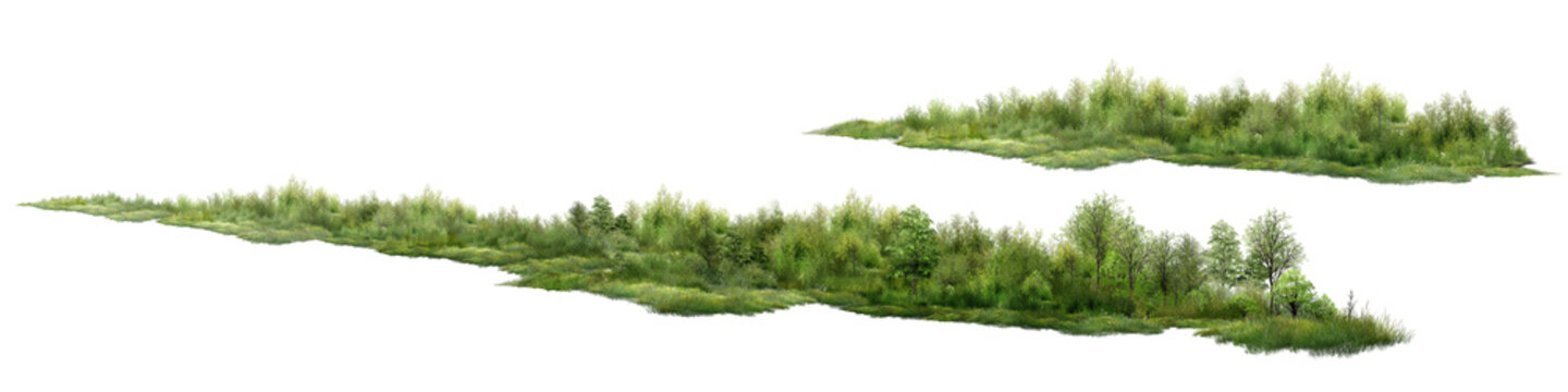 grass isolated on white background/High-resolution isolated green trees and shrubs line element, ultra-sharp details forest side view on pure white background, perfect for architectural rendering