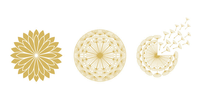 Set of three stylized golden floral designs with varying levels of detail, from simple petal shapes to intricate dandelion seed heads, suitable for