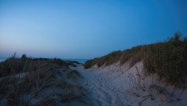 Tranquil walk along the oceanfront sand trail at dusk