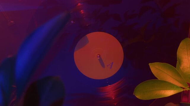 Color variant vinyl record spinning aesthetic turntable with plants and cinematic lighting mood.

Alternative color mood shot of spinning vinyl record with slightly different lighting tones, creating 