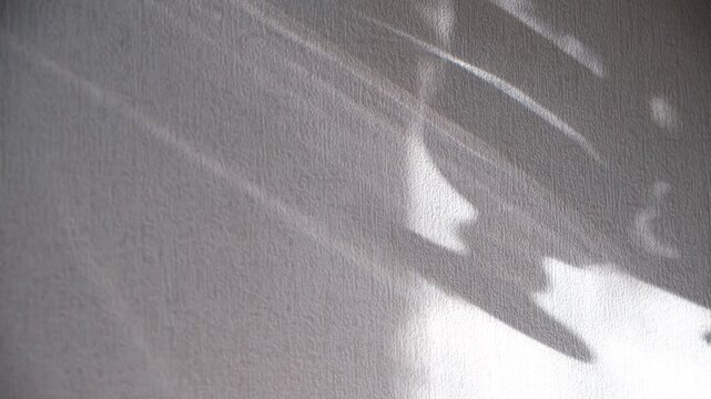 Shadow of woman holds cup, drinking coffee, abstract shadows on white wall. Cozy home or cafe.  Aesthetic background in minimalist. Cinematic atmospheric mood. Morning light creating a warm atmosphere