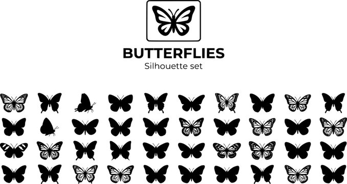 Butterfly Insect Silhouette Set Black White Nature Bundle Vector Illustration Isolated White Background
