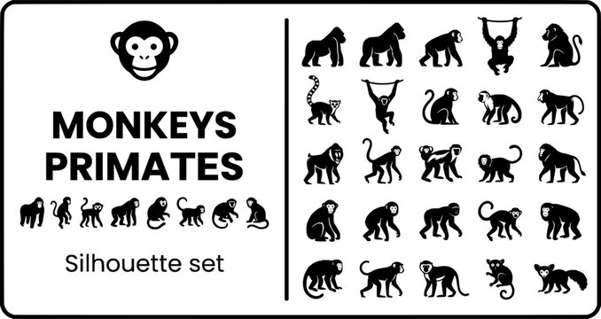 Monkey Primate Silhouette Set Black White Wildlife Bundle Vector Illustration Isolated White Background