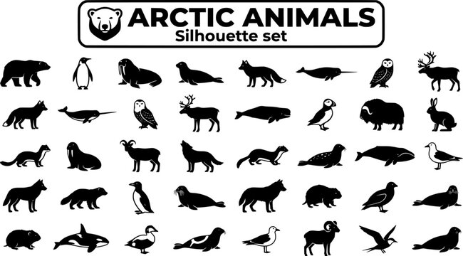 Arctic Polar Animal Silhouette Set Black White Nature Bundle Vector Illustration Isolated White Background