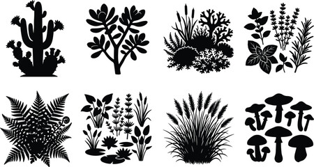 Botanical Plants and Wild Nature Ecosystem Silhouette Vector Icon Set Featuring Cactus Fern Mushrooms and Succulents © MdRasel