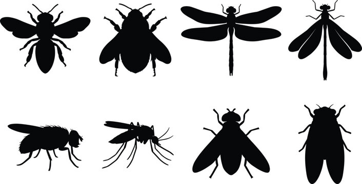 Flying Insects and Bugs Vector Silhouettes Icon Set Featuring Honeybee Bumblebee Dragonfly and Mosquito