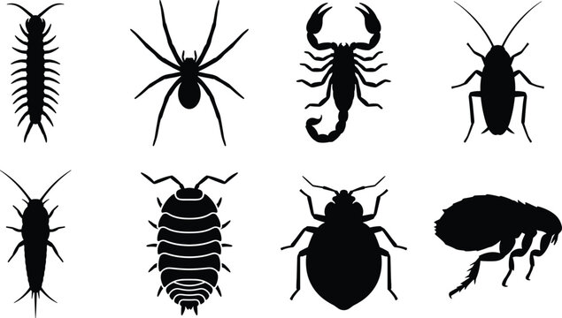 Household Pests and Insects Silhouette Vector Icon Set Featuring Spider Centipede Scorpion Roach and Bedbug