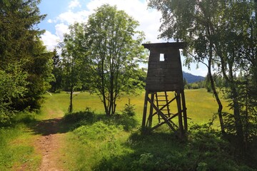Hunting pulpit structure at a forest glade in Beskid Slaski mountains in Poland. Silesia region nature. © Tupungato