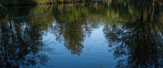 Fototapeta premium Trees reflecting in calm water of a river