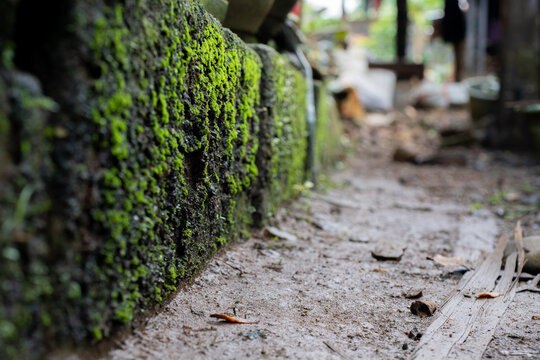 Low Angle View Of A Moss-Covered Stone Wall Next To A Dirt Path