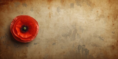 Remembrance Day tribute showing a bright poppy on a textured canvas