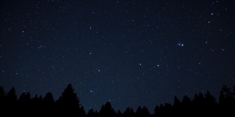 Fototapeta premium Starry night sky over dark silhouettes of trees