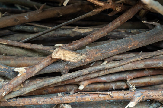 Close-Up Of A Pile Of Dry Wooden Branches And Twigs