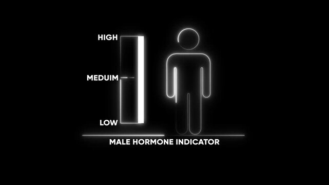 Male hormone level indicator infographic animation with glowing neon ui
