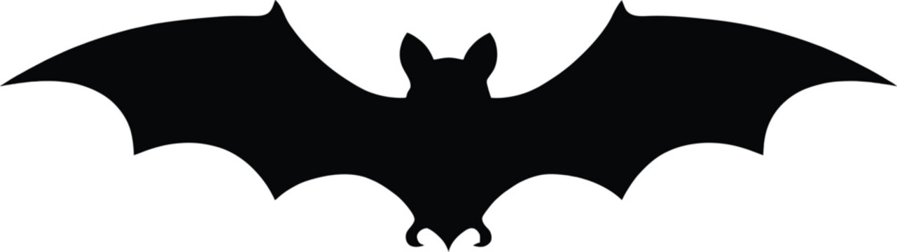 Black silhouette of a bat with wings spread wide animal