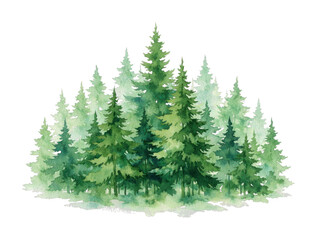 Obraz premium PNG Serene watercolor forest illustration.