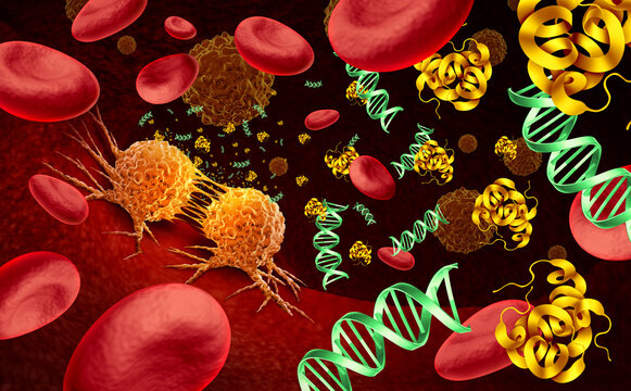 liquid biopsy or cancer screening Multi cancer early detection or MCED  as early tumor detection and malignant diagnosis as a blood test with biomarkers as DNA and protein oncology biotechnology..