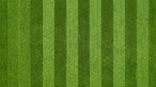 Freshly Cut Green Grass Field Stripes Pattern Background