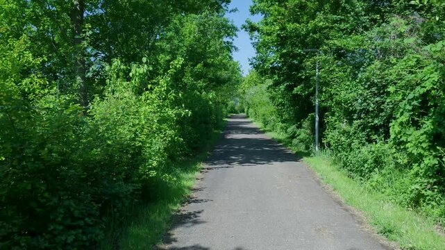 Point of view shot walking on a narrow path in a dense green forest