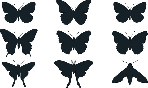 Butterfly silhouette vector illustration collection featuring black shapes of moths swallowtail and luna moth elements isolated on white background