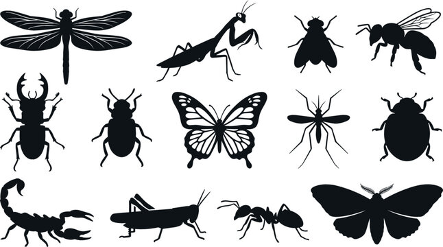 Insect silhouette vector illustration set featuring black shapes of dragonfly butterfly mantis bee beetle and scorpion isolated on white