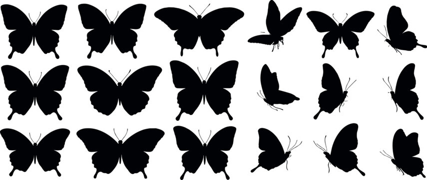 Collection of black butterfly silhouettes in various poses and angles