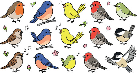 Cute songbird vector illustration collection featuring cartoon bluebird robin sparrow canary and finch backyard birds isolated on white background © MdMehedi