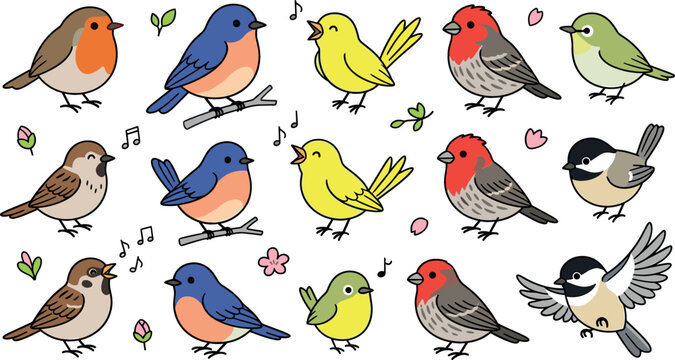 Cute songbird vector illustration collection featuring cartoon bluebird robin sparrow canary and finch backyard birds isolated on white background