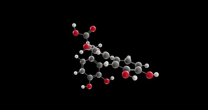 Rosmarinic acid molecule, rotating 3D model of anti-inflammatory drugs, looped video on a black background
