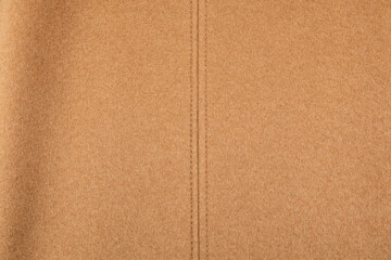 Fototapeta premium Winter Snow Field Vast