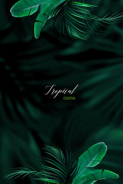 Tropical elegant background arranged from exotic emerald leaves. Design vector. Paradise plants, greenery chic card. Stylish fashion banner. Wedding template. Leaves are not cut. Isolated and editable