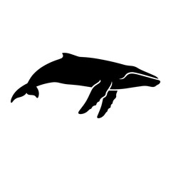 Fototapeta premium Humpback whale silhouette graphic design element with humpback, silhouette