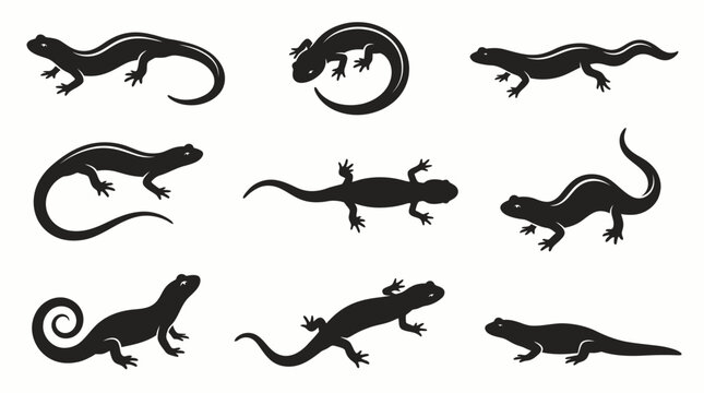 Elegant Salamander Silhouette Collection Set for Amphibian Logo and Nature Design