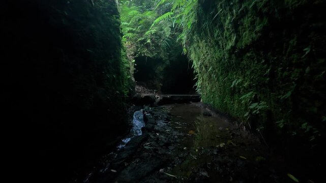 Slow motion move through Ubud Bali jungle caves. A stream runs through. Location: Ubud, Bali. Camera tracks forwards / dolly in slow motion through the caves. 