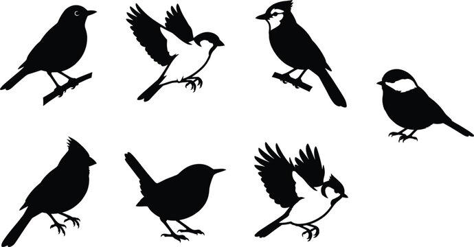 Black and white songbirds and flying sparrow silhouette icons set isolated on a white background