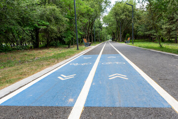 Obraz premium Blue asphalt bicycle lane with white markings and symbols in a lush green summer park. Modern two-way cycling path with blue coating and direction arrows in a public city park.