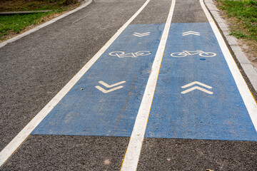 Obraz premium Blue asphalt bicycle lane with white markings and symbols in a lush green summer park. Modern two-way cycling path with blue coating and direction arrows in a public city park.
