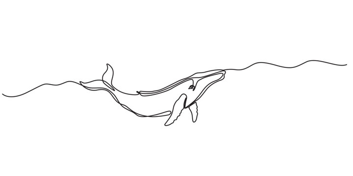 Continuous line drawing of hammerhead shark. Single line illustration of hammerhead shark fish. Ocean predator animal concept. Editable outline