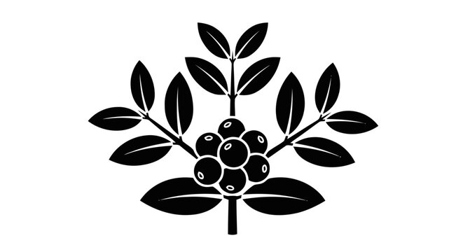Vector illustration of japanese style kamon crest of coffee branch with berries on a transparent background