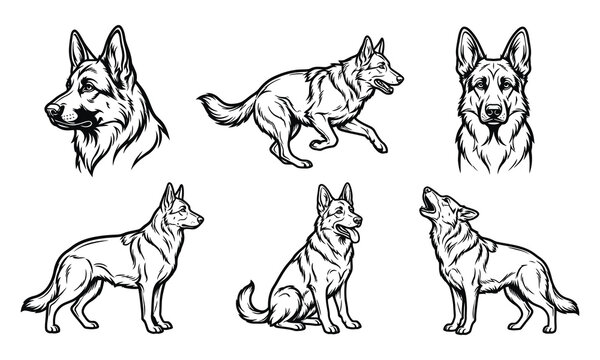 German Shepherd Dog Vector Line art pack Unique Design Illustration