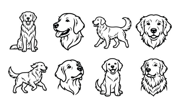 Golden Retriever Line art pack unique designs collection vector illustration