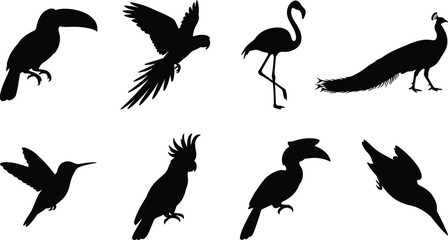 Elegant Bird Silhouette Collection Featuring Toucan, Parrot, Flamingo, Peacock, and Exotic Species © MdAriful